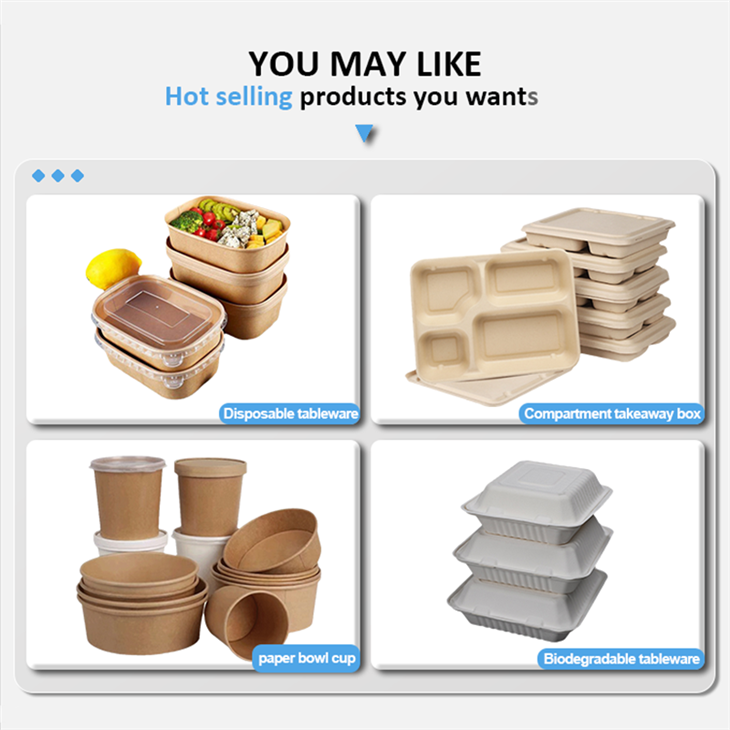 Cardboard Chinese Takeaway Boxes (2)